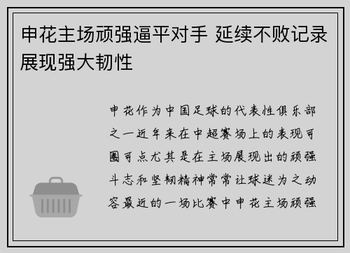 申花主场顽强逼平对手 延续不败记录展现强大韧性