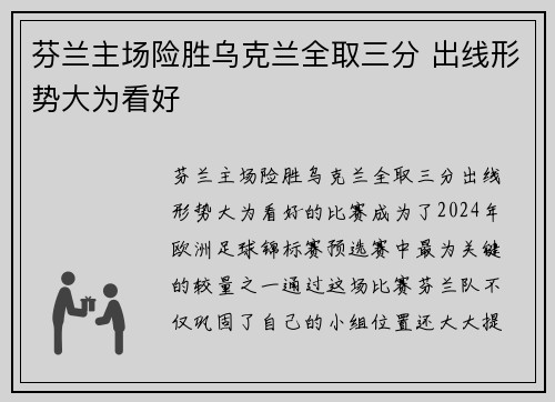 芬兰主场险胜乌克兰全取三分 出线形势大为看好