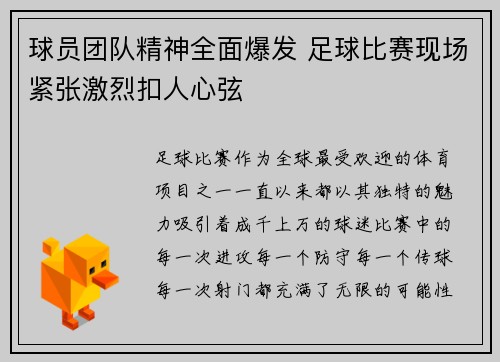 球员团队精神全面爆发 足球比赛现场紧张激烈扣人心弦