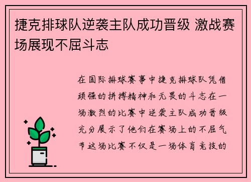捷克排球队逆袭主队成功晋级 激战赛场展现不屈斗志