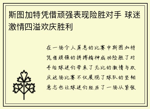 斯图加特凭借顽强表现险胜对手 球迷激情四溢欢庆胜利